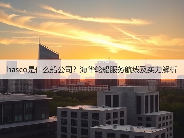 hasco是什么船公司？海华轮船服务航线及实力解析(图3)