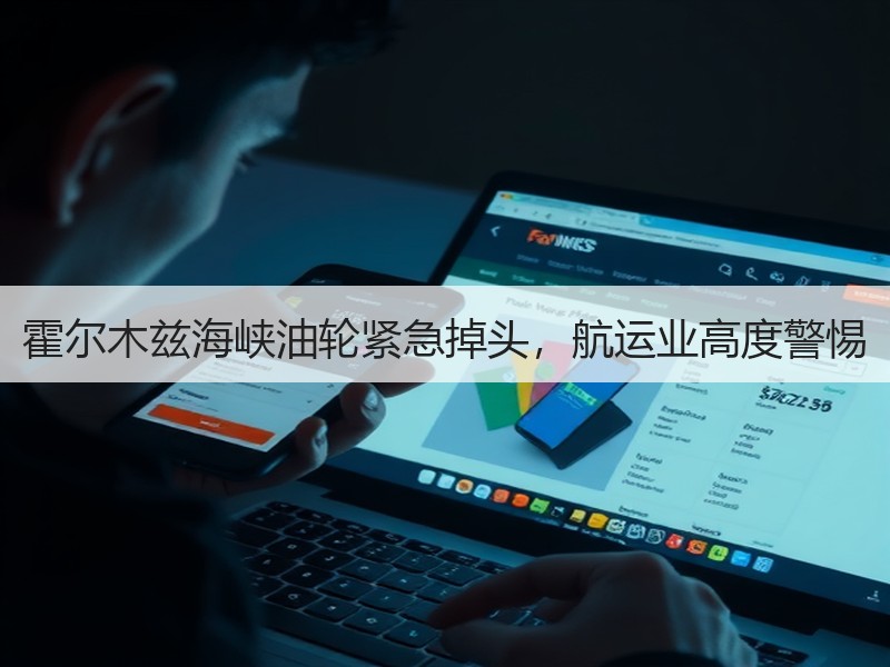 霍尔木兹海峡油轮紧急掉头，航运业高度警惕