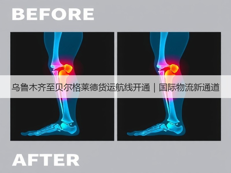 乌鲁木齐至贝尔格莱德货运航线开通｜国际物流新通道