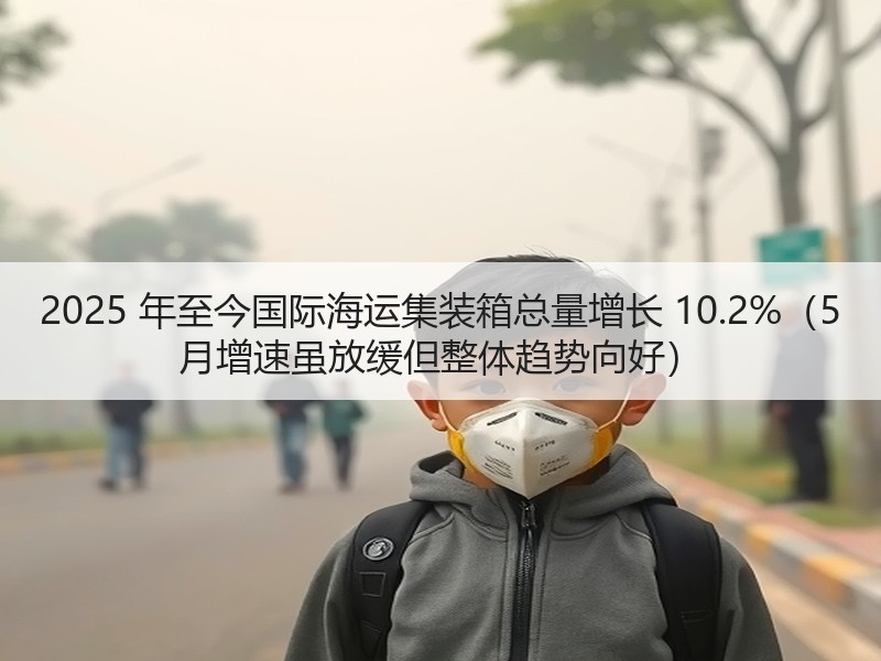 2025 年至今国际海运集装箱总量增长 10.2%（5 月增速虽放缓但整体趋势向好）