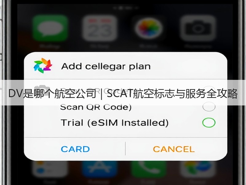 DV是哪个航空公司｜SCAT航空标志与服务全攻略