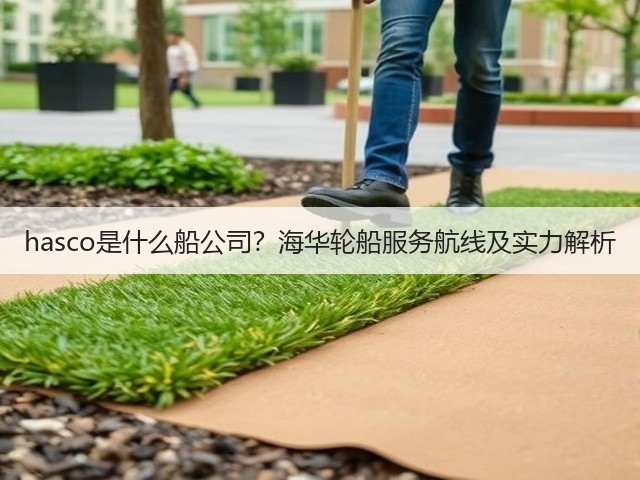 hasco是什么船公司？海华轮船服务航线及实力解析(图2)