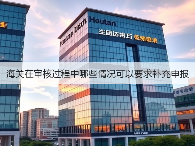 海关在审核过程中哪些情况可以要求补充申报(图3)