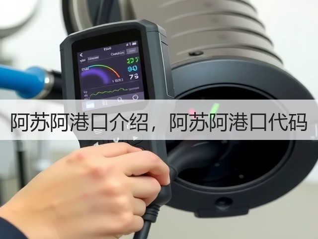 阿苏阿港口介绍，阿苏阿港口代码(图2)
