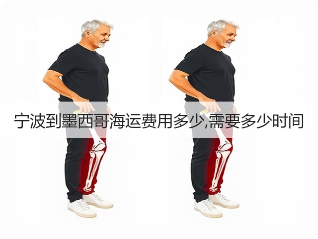 宁波到墨西哥海运费用多少,需要多少时间(图1)