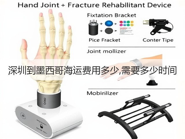 深圳到墨西哥海运费用多少,需要多少时间(图2)