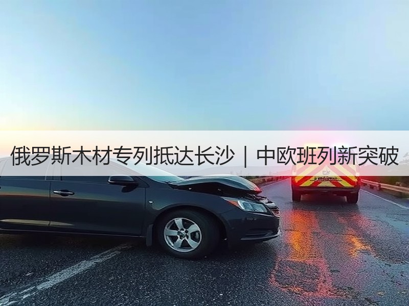 俄罗斯木材专列抵达长沙｜中欧班列新突破