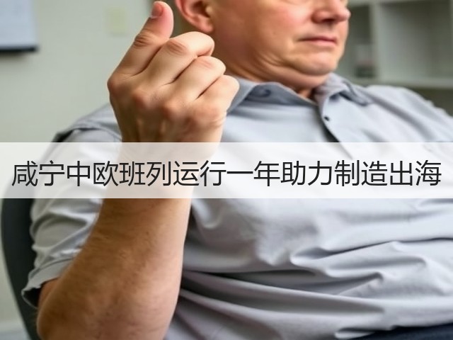 咸宁中欧班列运行一年助力制造出海(图3) 咸宁中欧班列运行一年助力制造出海(图3)