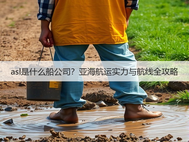 asl是什么船公司？亚海航运实力与航线全攻略(图3)