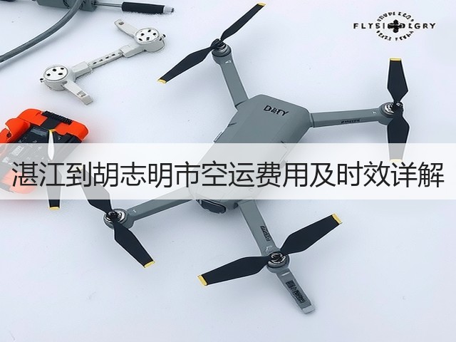 湛江到胡志明市空运费用及时效详解(图3)
