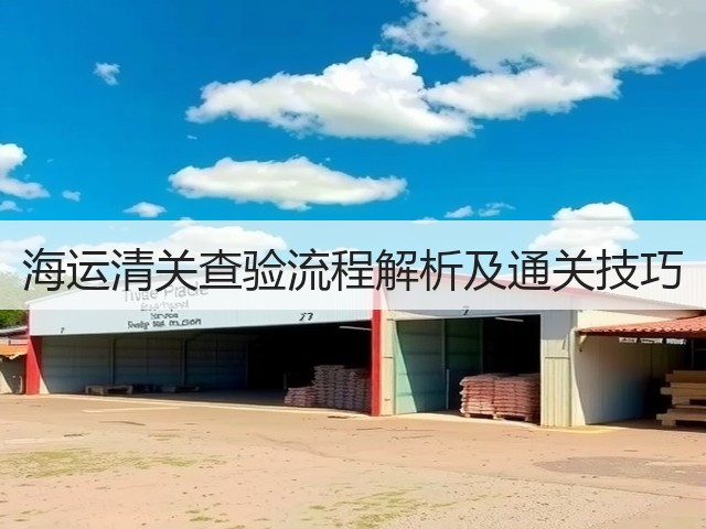 海运清关查验流程解析及通关技巧(图3) 海运清关查验流程解析及通关技巧(图3)