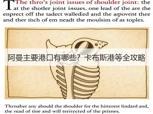 阿曼主要港口有哪些？卡布斯港等全攻略(图3)