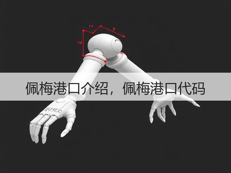 佩梅港口介绍，佩梅港口代码