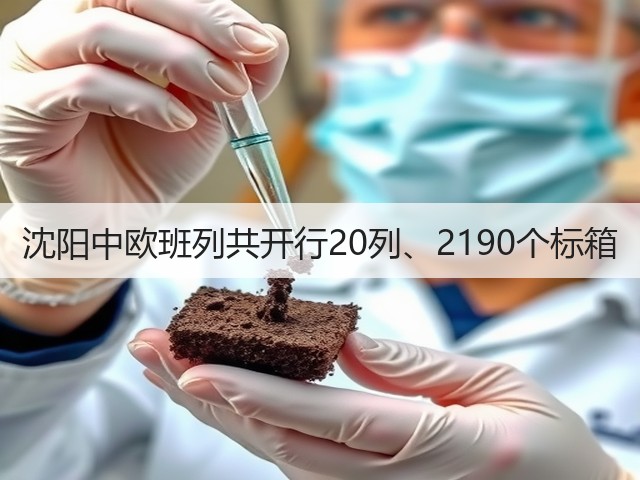 沈阳中欧班列共开行20列、2190个标箱(图3)