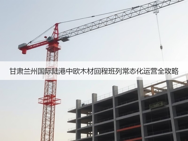 甘肃兰州国际陆港中欧木材回程班列常态化运营全攻略